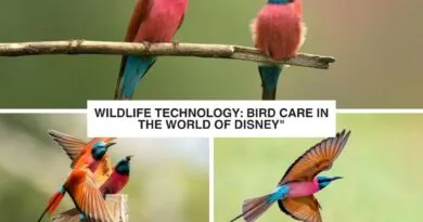 Taihu Tunnel China's Engineering with Immersive Technology_20240420_143655_0000