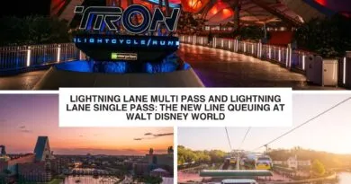 Lightning Lane Multi Pass and Lightning Lane Single Pass: The New Line Queuing at Walt Disney World